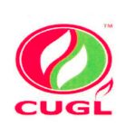 CNGpage-21